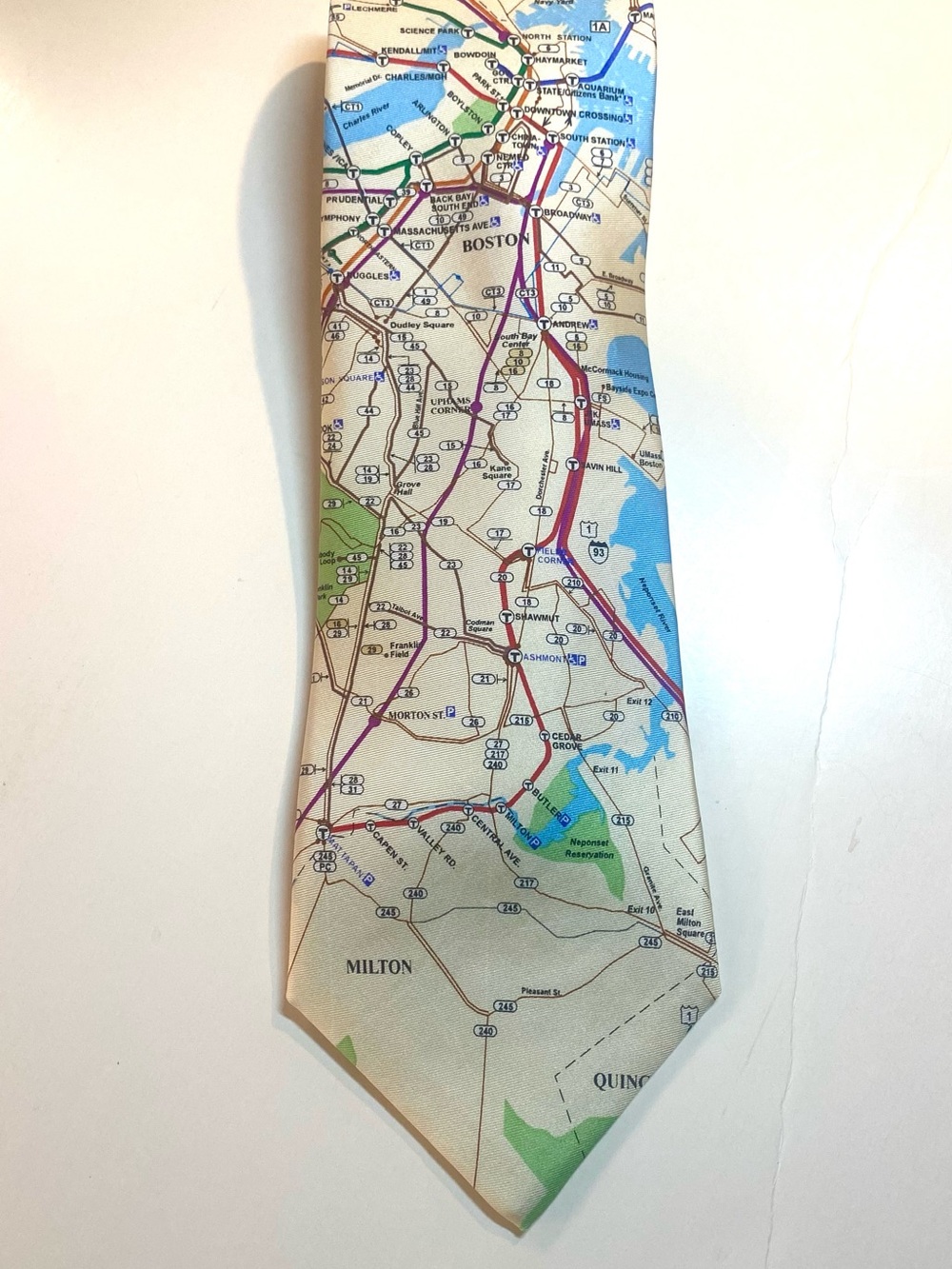 Amazing BOSTON, Massachusetts TIE - fun, witty!